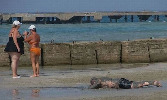 funny-pictures-806