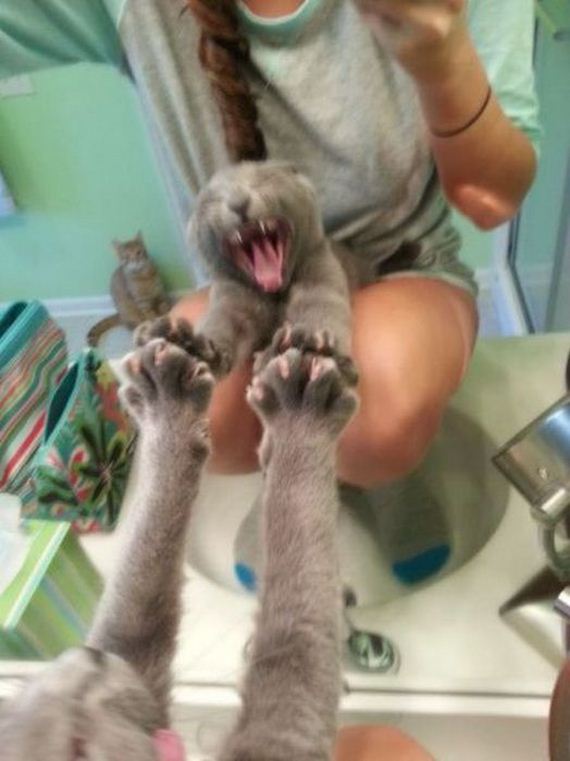 funny-pictures-806