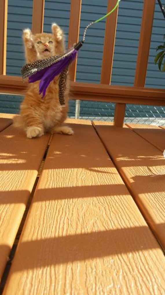 funny-pictures-806