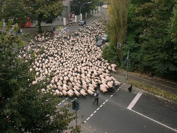 funny-pictures-806