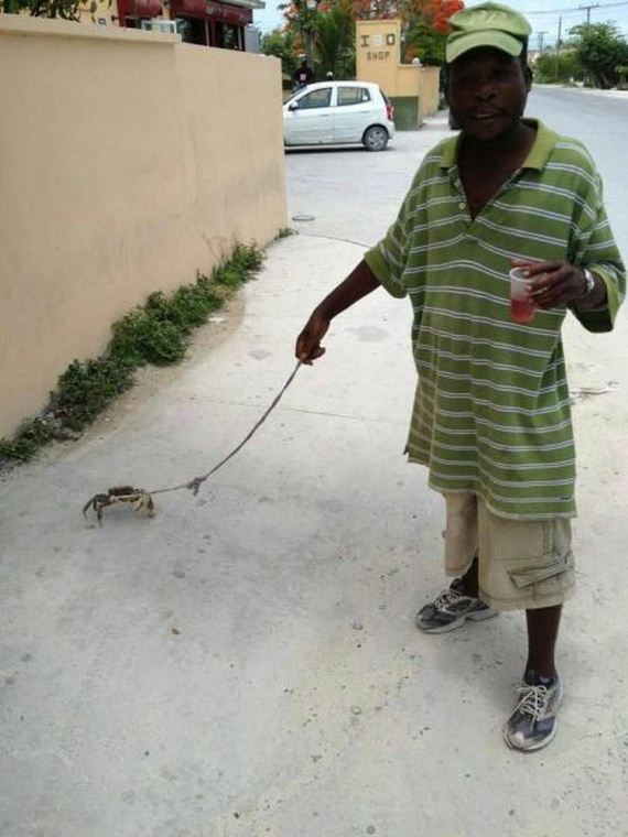 funny-pictures-806