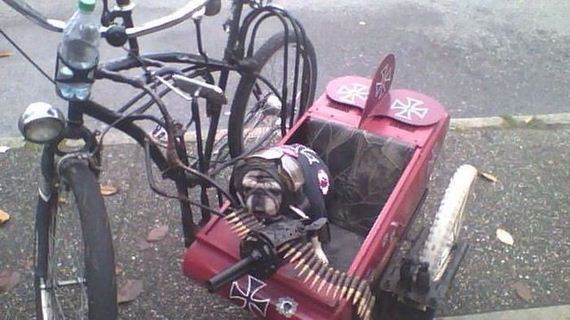 funny-pictures-807