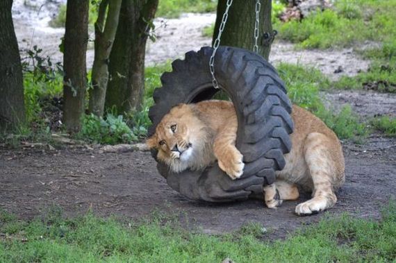 funny-pictures-807