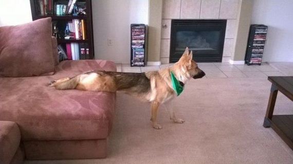 funny-pictures-807