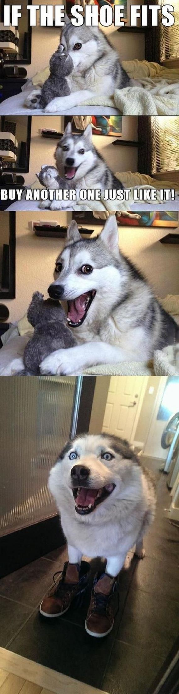 funny-pictures-807