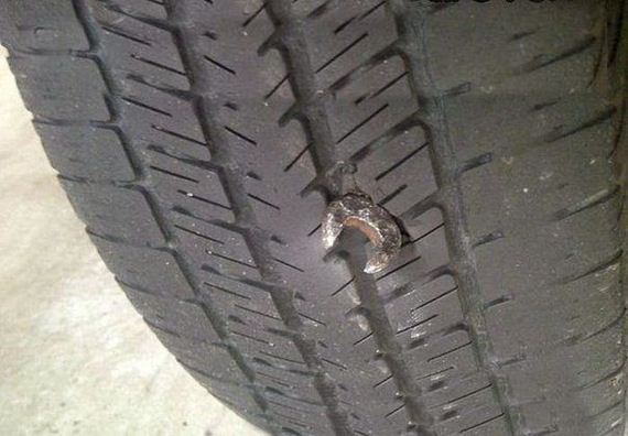 funny-pictures-807
