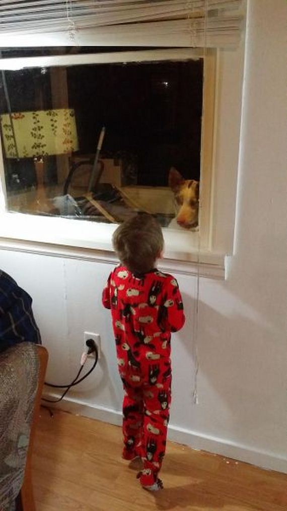 funny-pictures-808