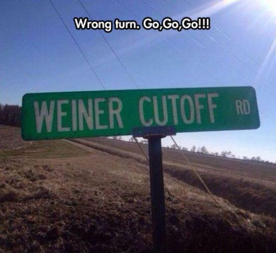 funny-pictures-809