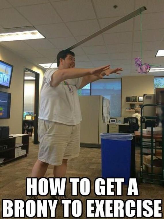 funny-pictures-809
