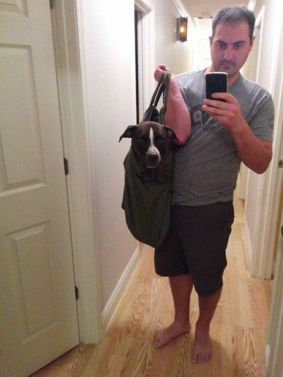 funny-pictures-809