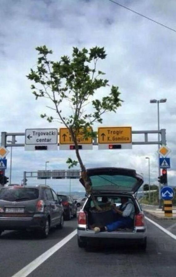 funny-pictures-811