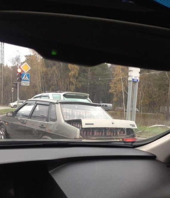 funny-pictures-812