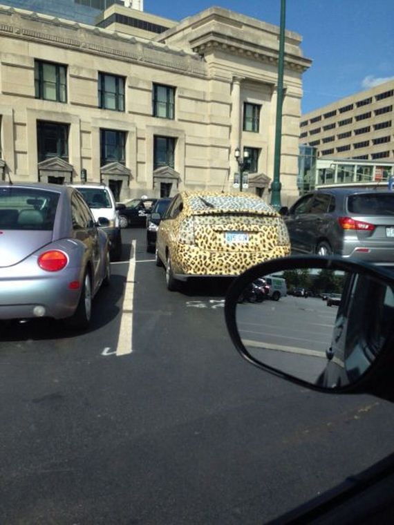 funny-pictures-812
