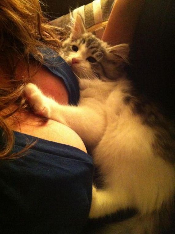 funny-pictures-814