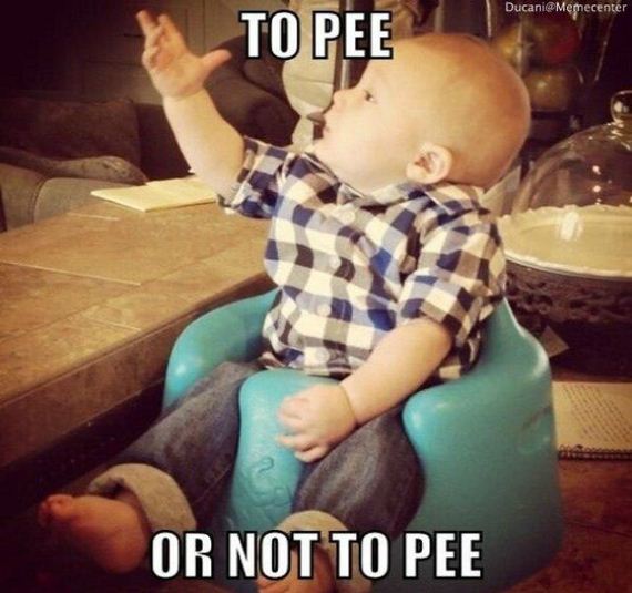 funny-pictures-814