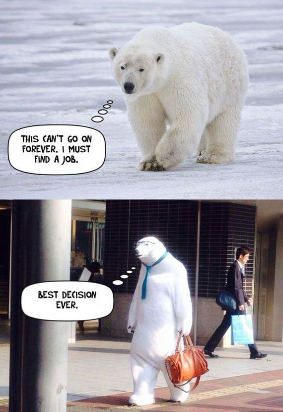 funny-pictures-814