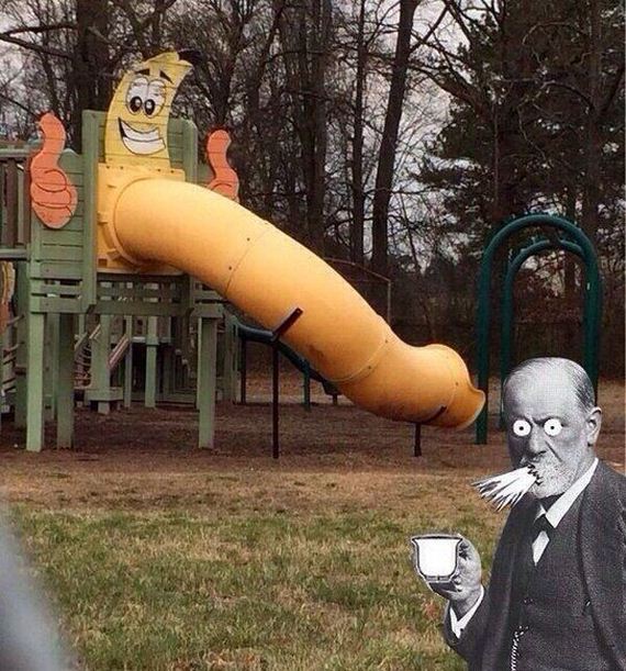 funny-pictures-816