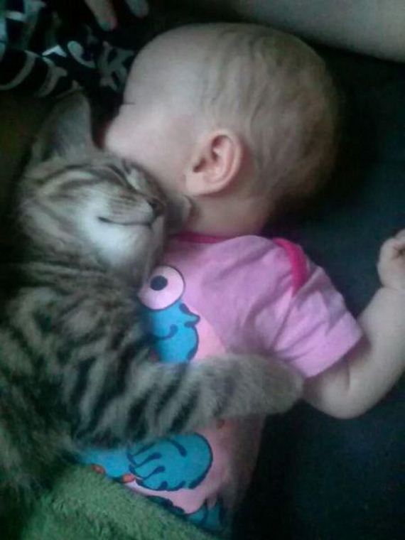 funny-pictures-816