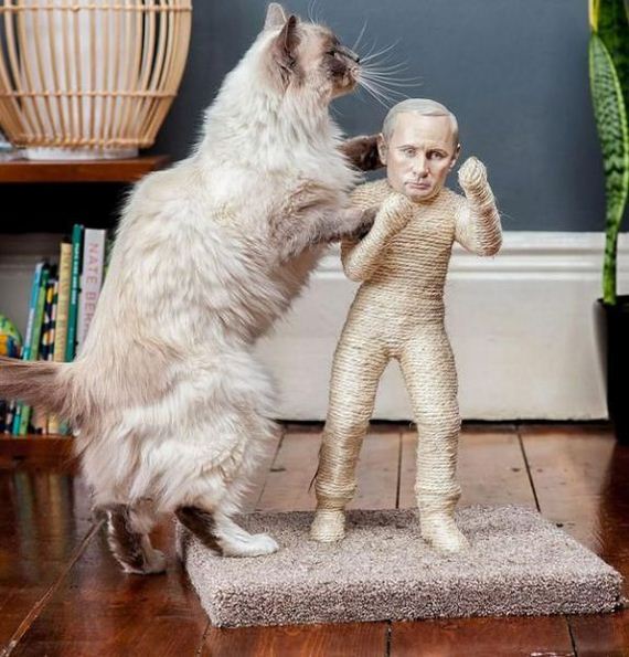 funny-pictures-816