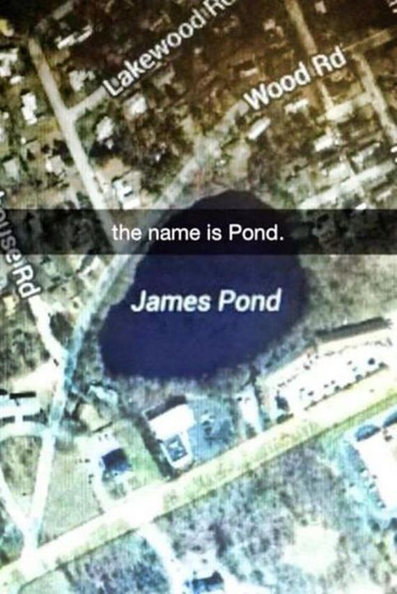 funny-pictures-816