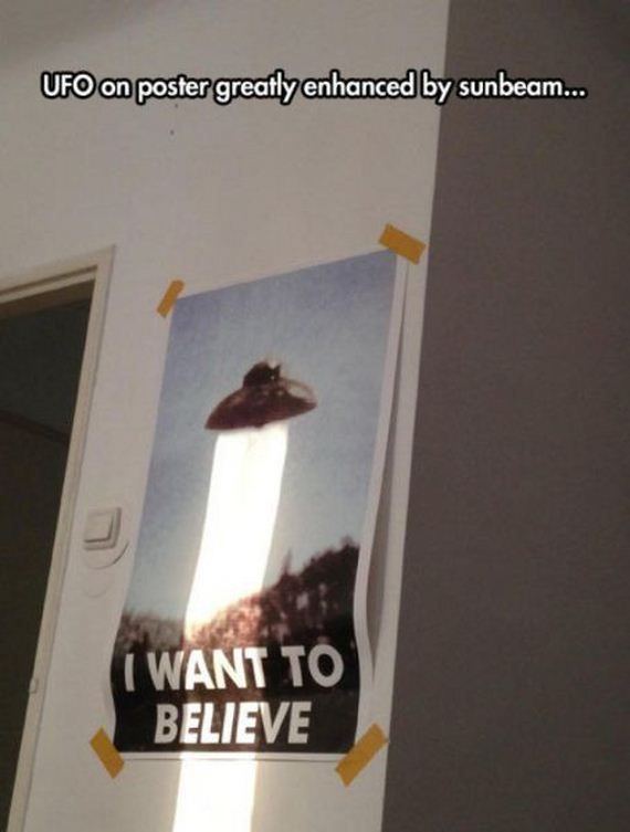 funny-pictures-816