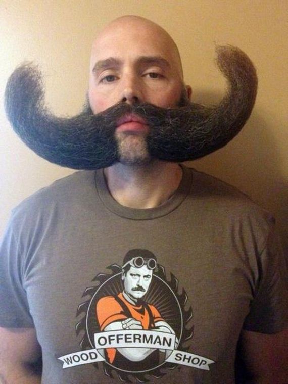 funny-pictures-817