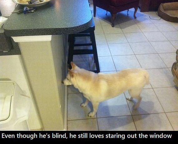 funny-pictures-817