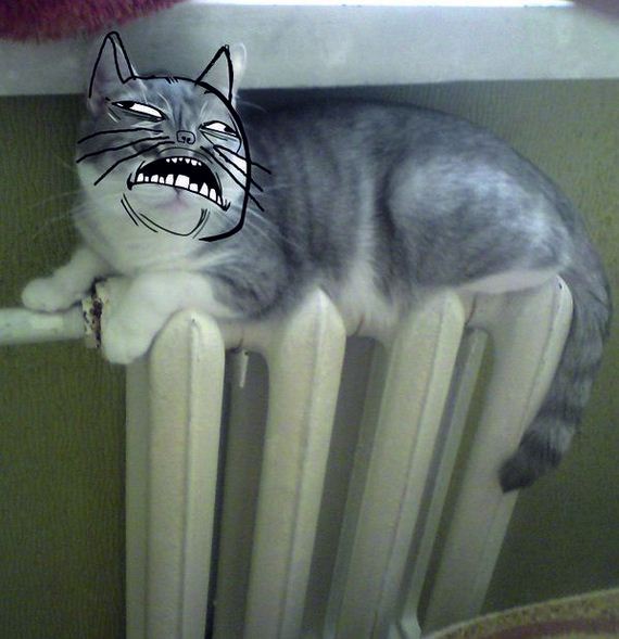 funny-pictures-818