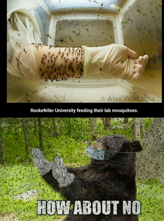 funny-pictures-819