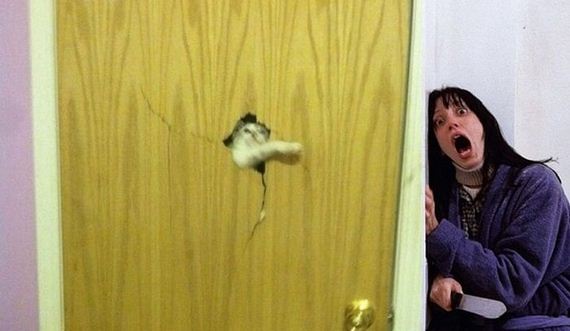 funny-pictures-819