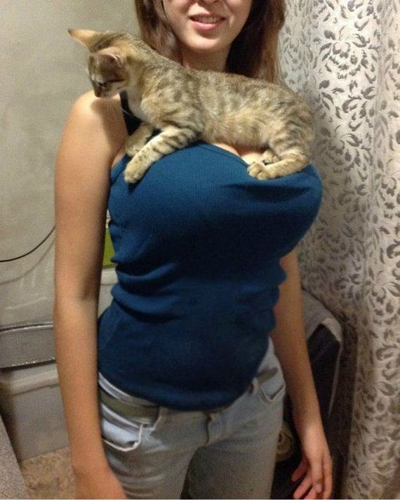 funny-pictures-819