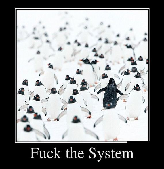 funny-pictures-819