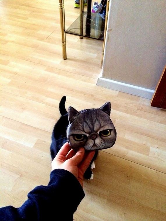 funny-pictures-819