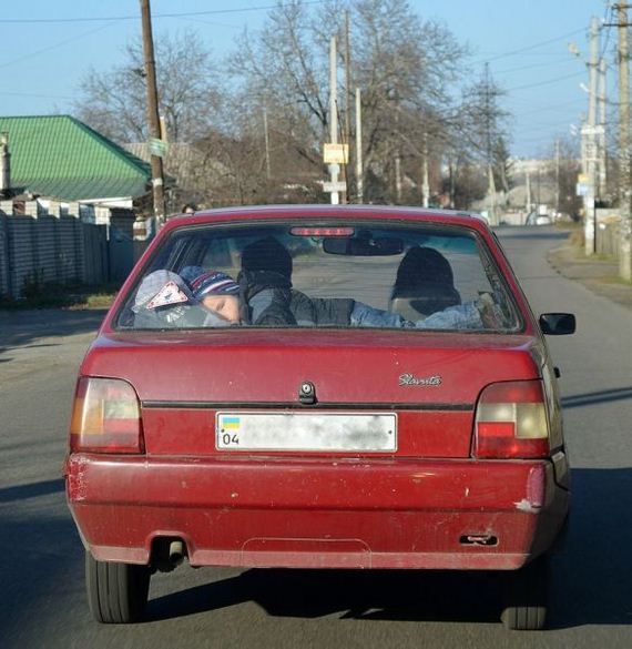 funny-pictures-820