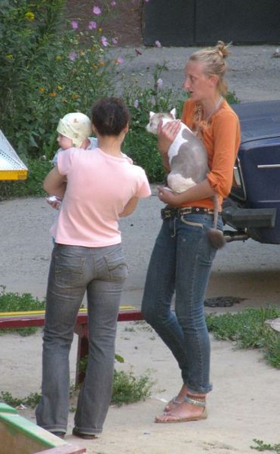 funny-pictures-820