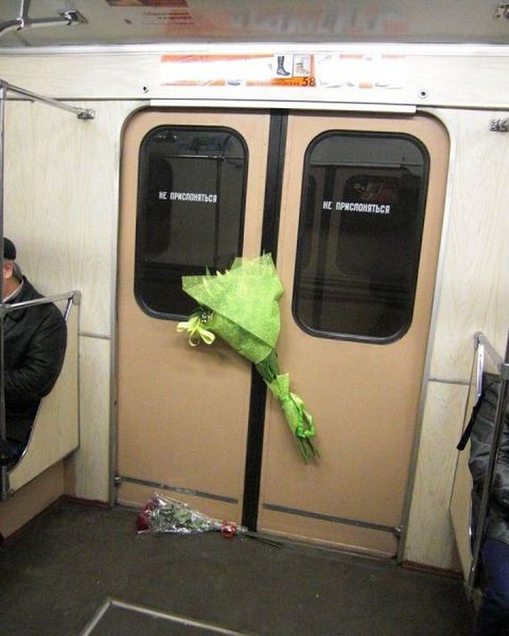 funny-pictures-820