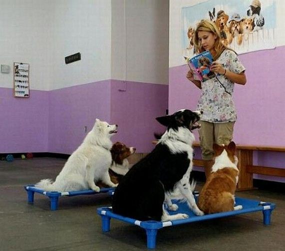funny-pictures-820