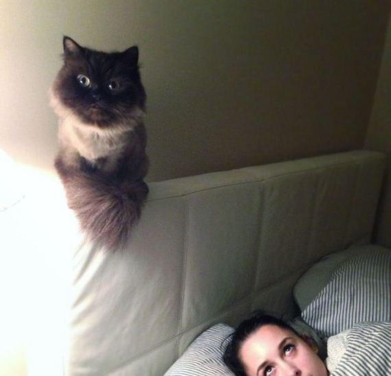 funny-pictures-822