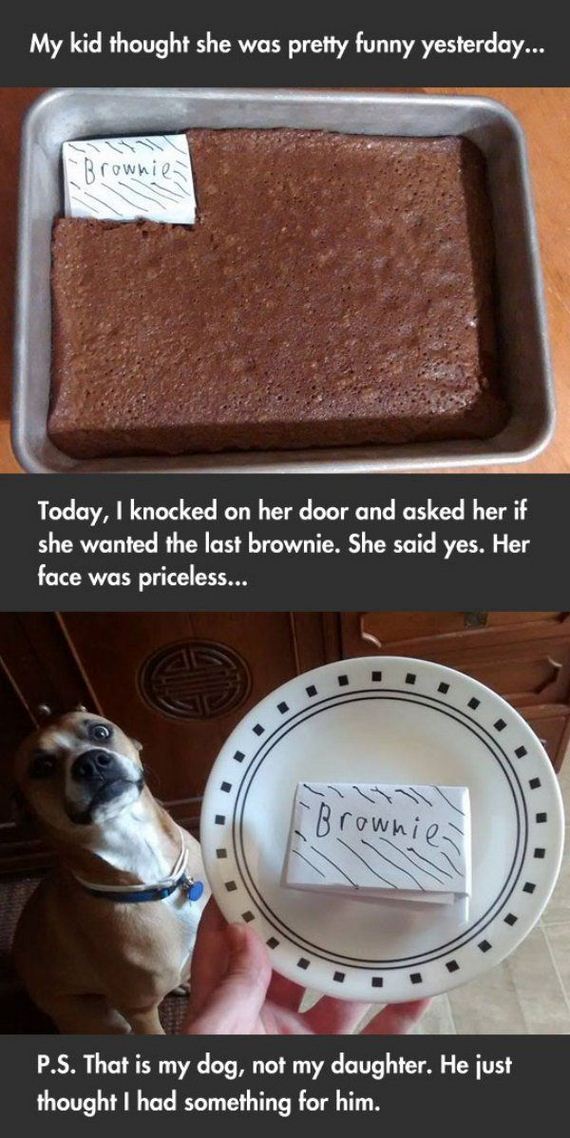 funny-pictures-822