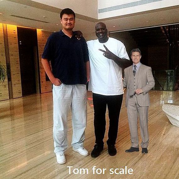 funny-pictures-822