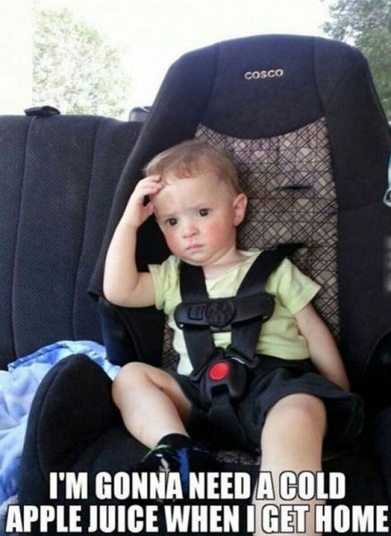 funny-pictures-822