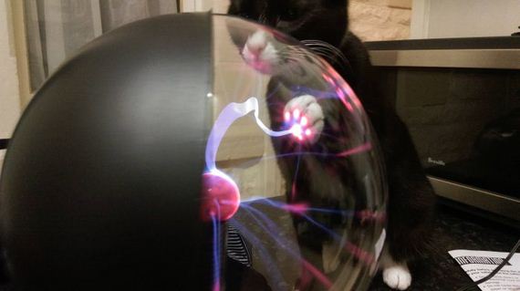 funny-pictures-823