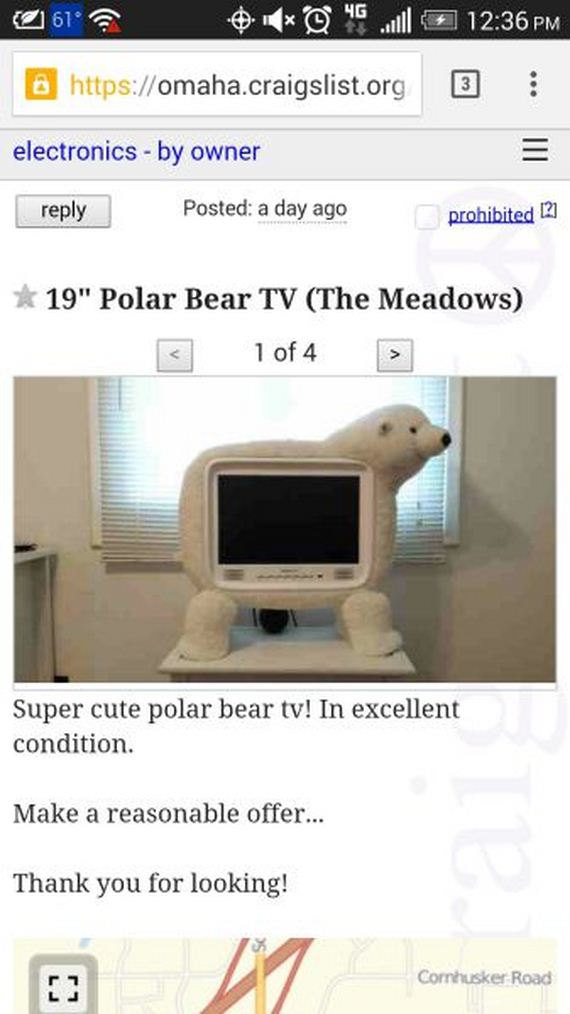 funny-pictures-824