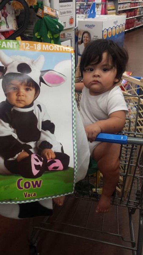 funny-pictures-824