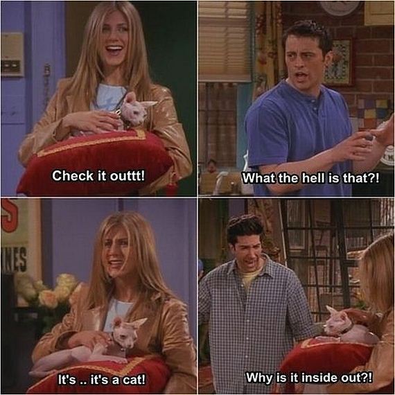 funny-pictures-824