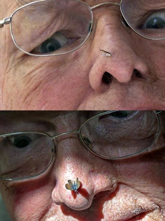 funny-pictures-825
