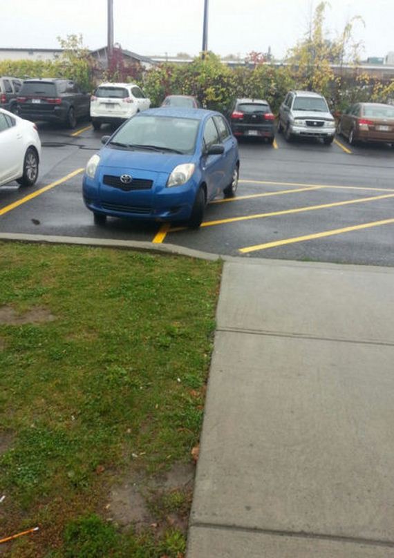 funny-pictures-825