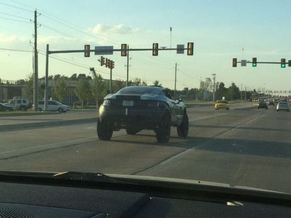 funny_car_themed_photos_03