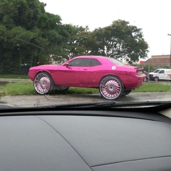 funny_car_themed_photos_03