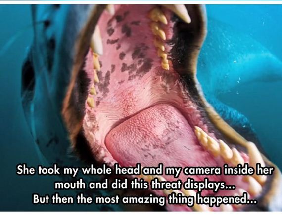 happened_photographer